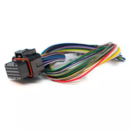 [PN: 101-0003] Link ECU B Loom Short (0LB)