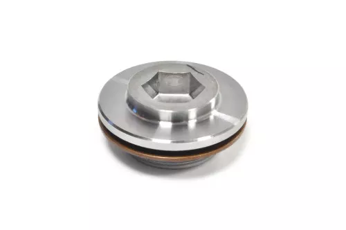 Toyota VVTI Cam Gear Cap and Seal